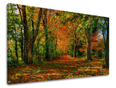 Wall painting TREES Discount 60 % 60X90 cm
